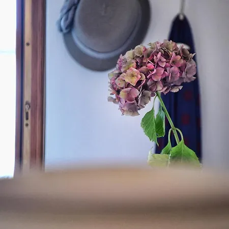 Apartamento Casa Anna By Wonderful Italy *